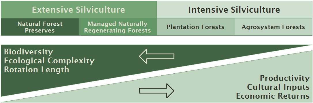 Silviculture Rotation SFA Silviculture - 1.1. Introduction: Silviculture and Definitions